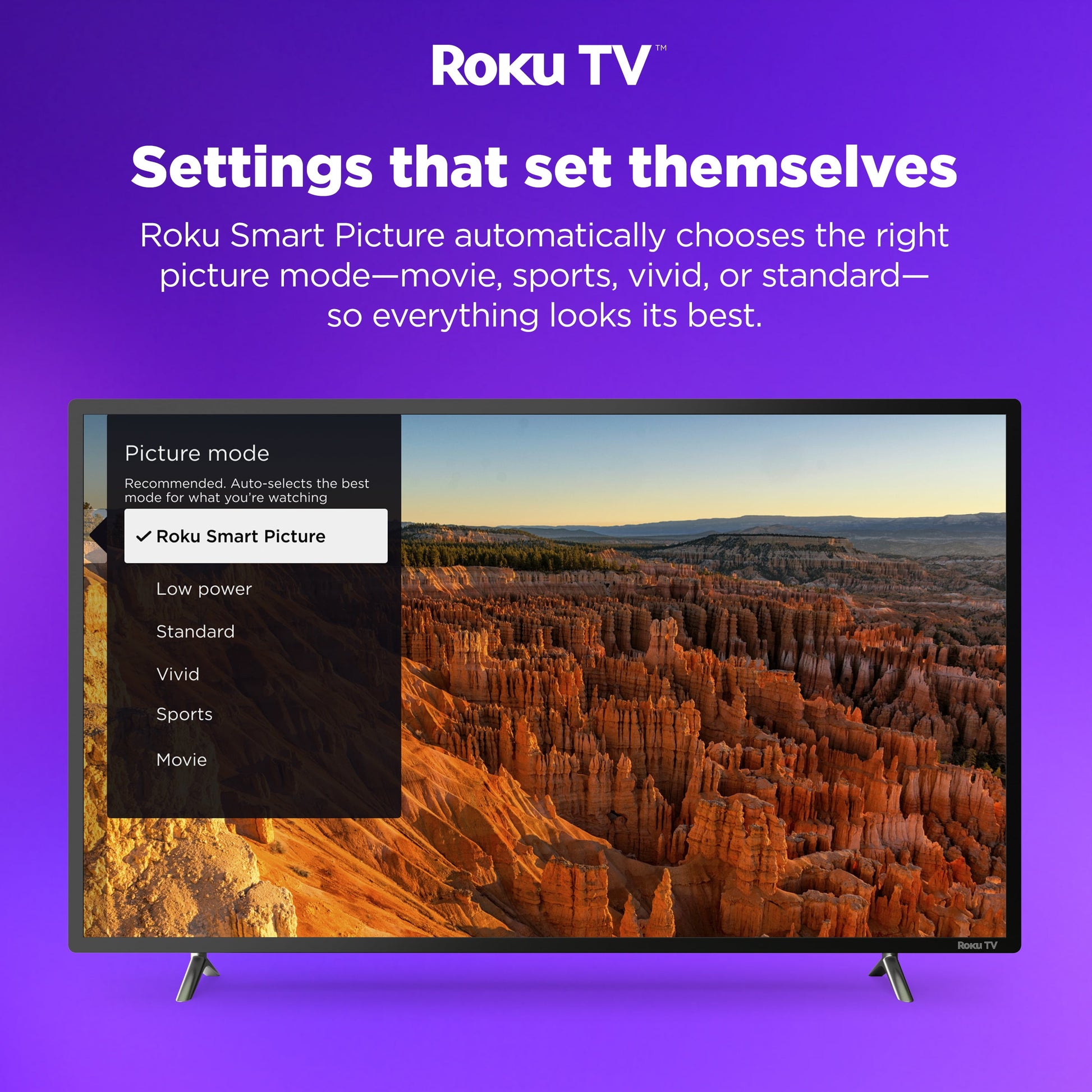 50" Class 4K UHD LED LCD Roku Smart TV HDR R6 Series 50R6E3